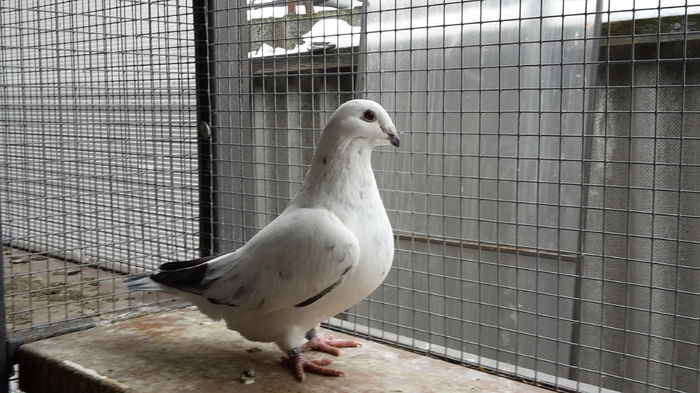 20141130_150910 - Copy