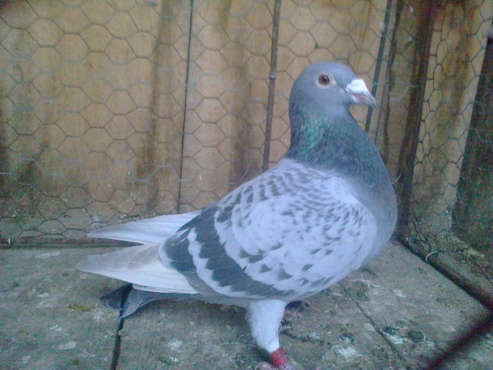 Imag 012053