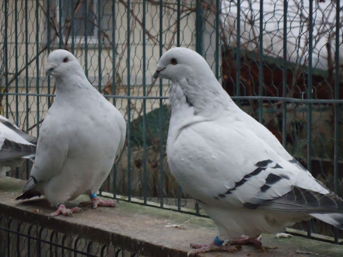 M-2014-76&M-2014-983