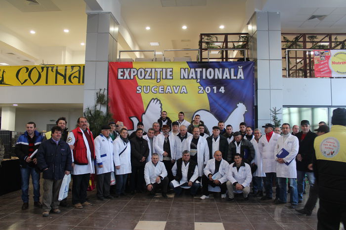 IMG_5138 - EXPOZITIA NATIONALA 28-30 noiembrie 2014 Suceava