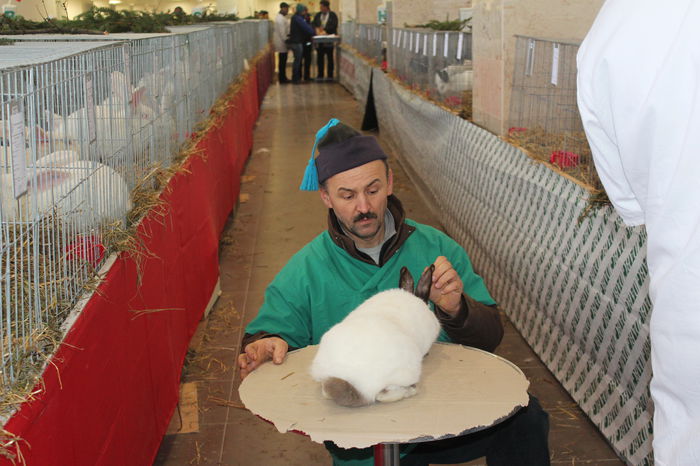 IMG_5162 - EXPOZITIA NATIONALA 28-30 noiembrie 2014 Suceava