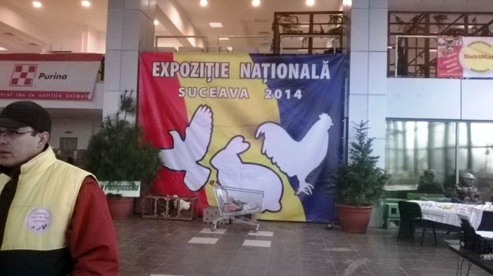 EXPOZITIA NATIONALA UNIFICATA - Suceava Nationala nov 2014