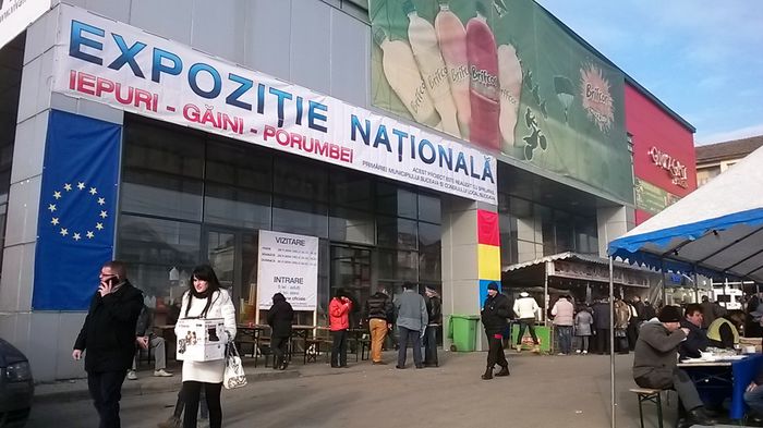 EXPOZITIA NATIONALA UNIFICATA - Suceava Nationala nov 2014