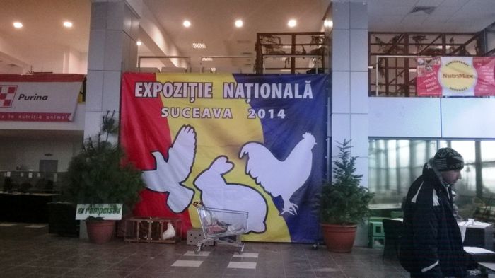 EXPOZITIA NATIONALA UNIFICATA