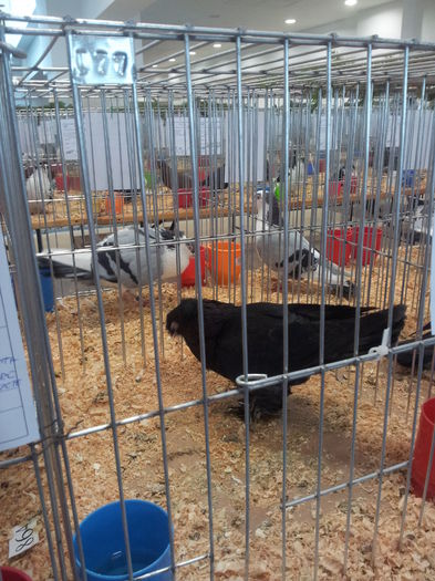 20141129_090109 - Copy