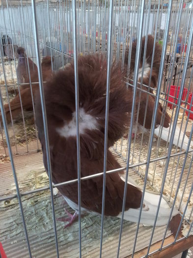 20141129_090154 - Copy