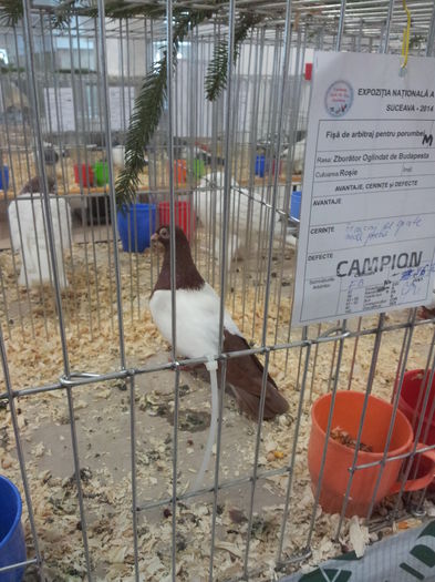 20141129_090210 - Copy