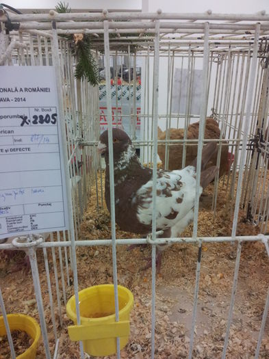 20141129_090252 - Copy