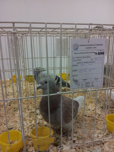 20141129_090305 - Copy