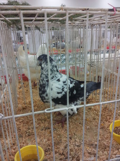 20141129_090318 - Copy