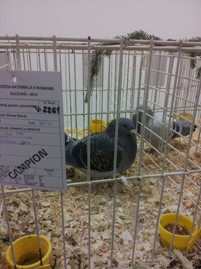 20141129_090325 - Copy