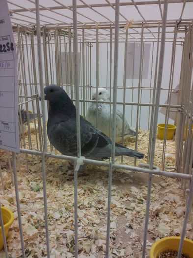 20141129_090332 - Copy