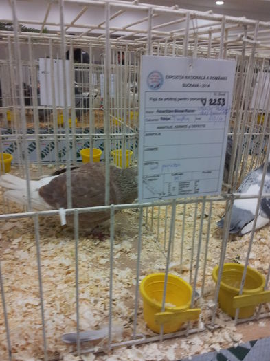 20141129_090344 - Copy