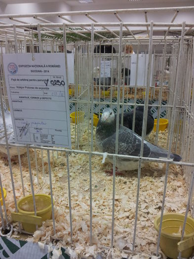 20141129_090352 - Copy