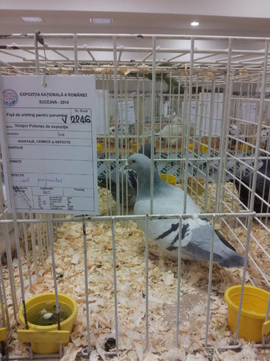 20141129_090405 - Copy