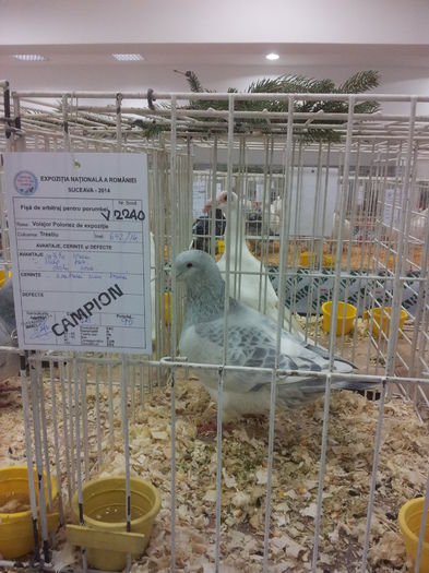 20141129_090416 - Copy