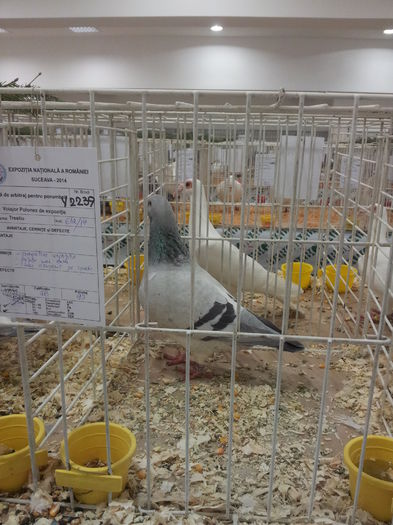 20141129_090425 - Copy