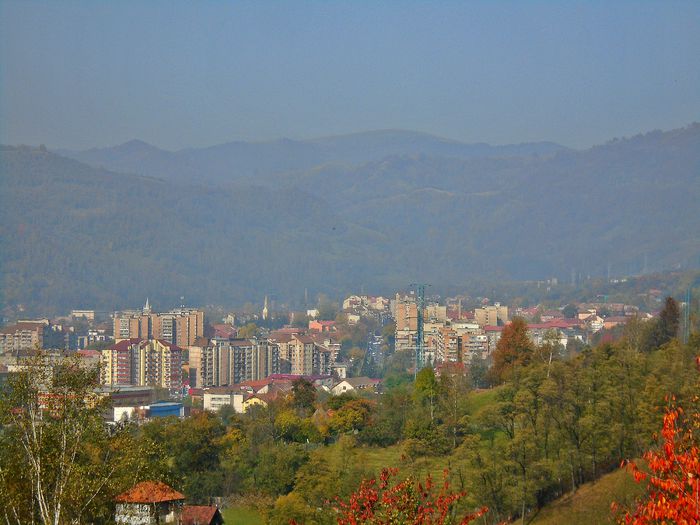 petrosani - Din Natura