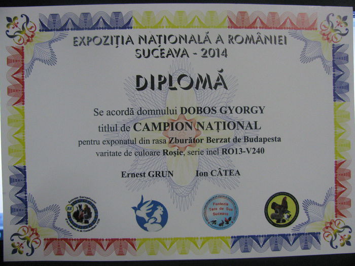 IMG_2350 - 53- Expozitia Nationala Suceava 2014- CAMPION NATIONAL