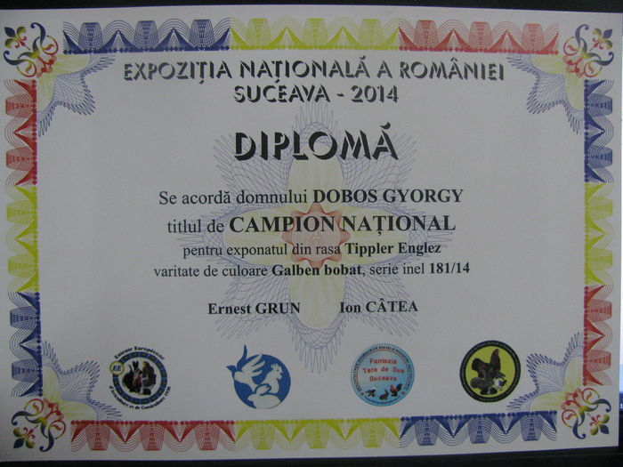 IMG_2351 - 53- Expozitia Nationala Suceava 2014- CAMPION NATIONAL