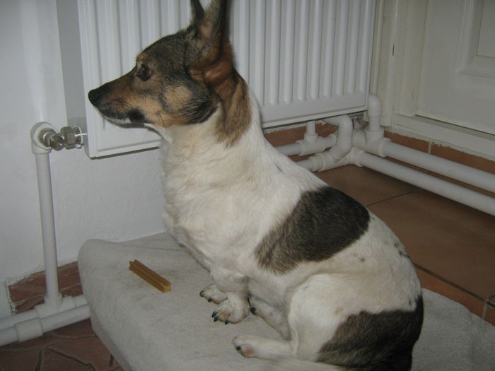 Picture My plants 1834