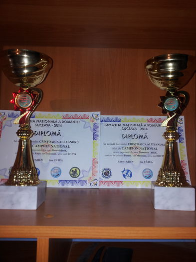 Exp Nationala Suceava 2014 - Cupe Si Diplome optinute 2014