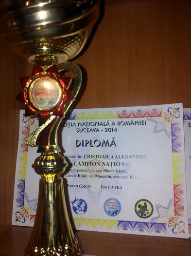 Exp Nationala Suceava la Plymouth 2014 - Cupe Si Diplome optinute 2014