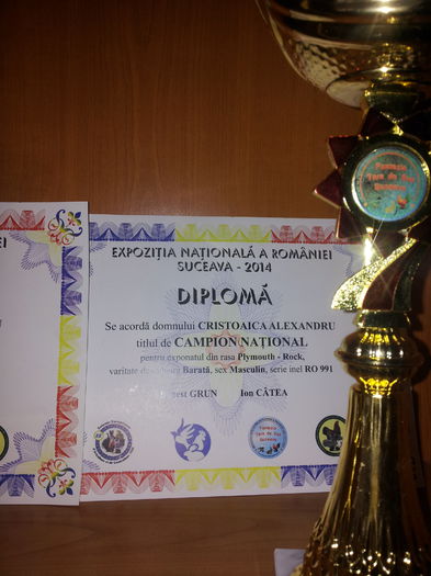 Exp Nationala Suceava La Rhodeisland 2014 - Cupe Si Diplome optinute 2014