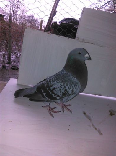 10405389_296733893870985_8604823745589117179_n