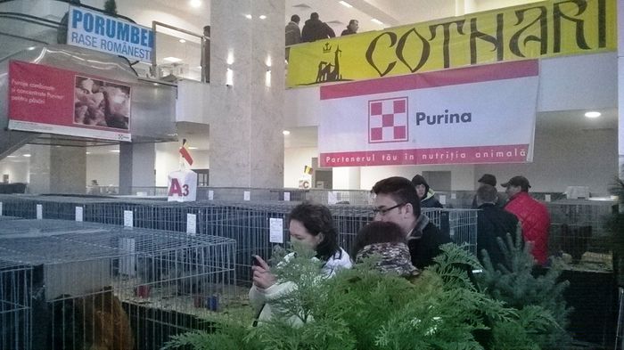 WP_20141130_12_18_13_Smart - Suceava Nationala nov 2014