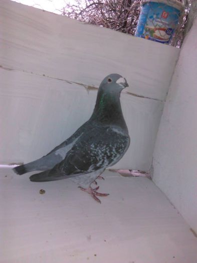 10802030_296733450537696_4886283437162357584_n