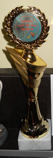 Trofeu Suceava 2014