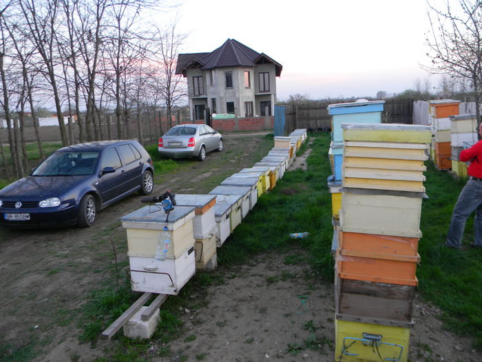 DSCN1711 - Apicol 2014