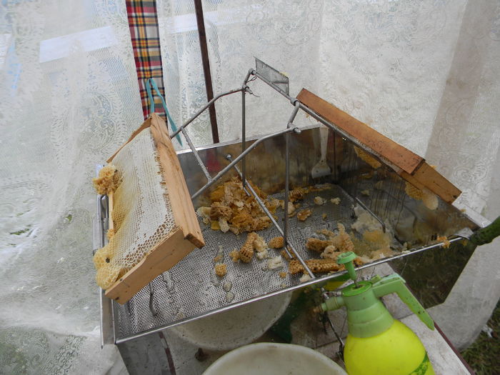 DSCN2492; tava de descapacit
