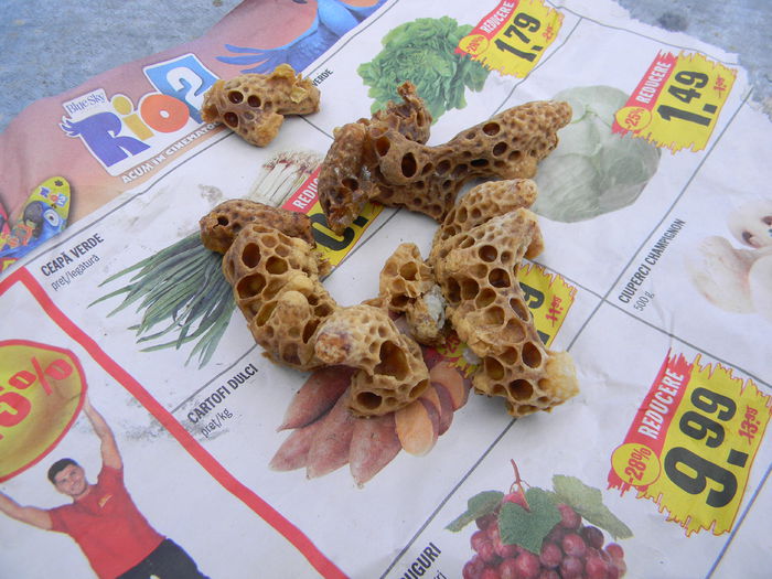 DSCN2511; viitoarele regine
