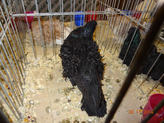 DSC03800