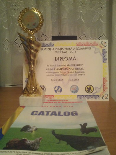 Campion National-Suceava 2014 - REZULTATE EXPOZITII