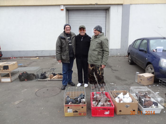 bundu eu expo suceava