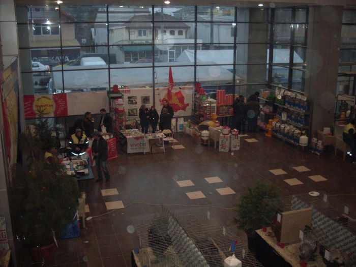 SDC15033 - EXPO NATIONALA SUCEAVA2014