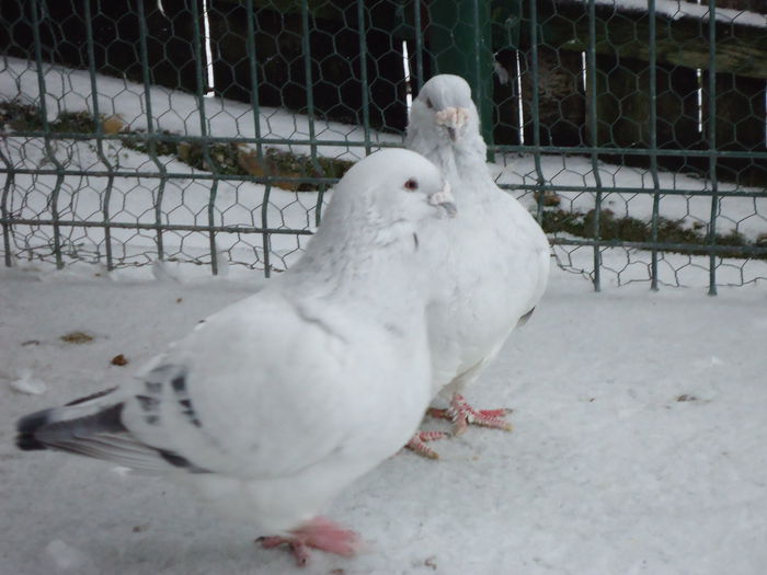 M-2011-2841&M-2011-10