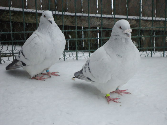 M-2011-2841&M-2014-76