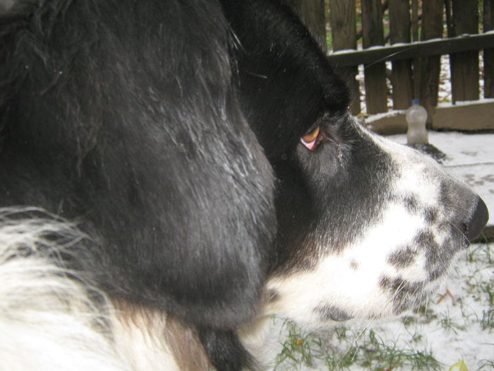 Picture My plants 1796