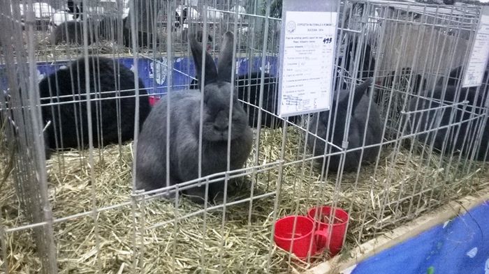 WP_20141128_13_47_24_Smart