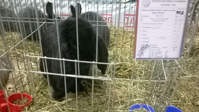 WP_20141128_13_50_31_Smart - Expozitia nationala Suceava 2014
