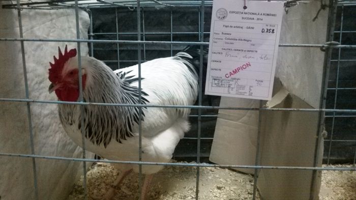 WP_20141128_13_55_25_Smart