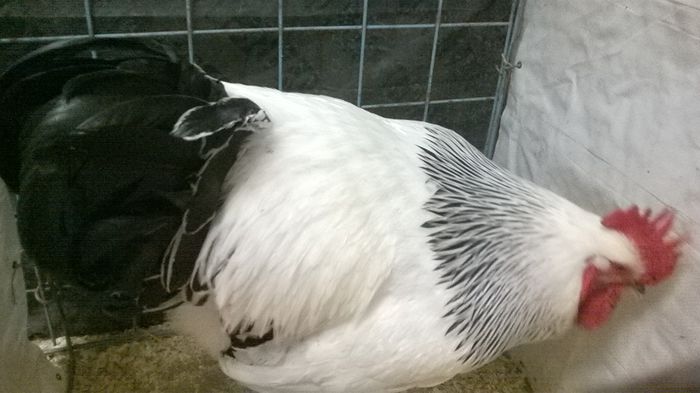 WP_20141128_13_56_14_Smart