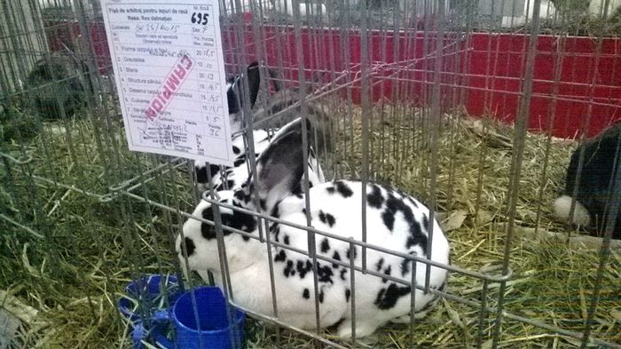 WP_20141128_15_12_44_Smart