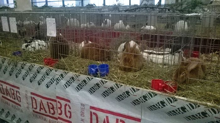 WP_20141128_15_13_12_Smart