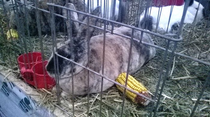 WP_20141128_15_13_37_Smart