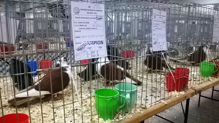 WP_20141128_19_49_14_Smart